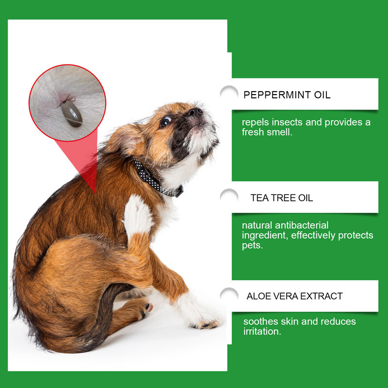 🍃 Natürliches Floh- und Zeckenspray für Hunde und Katzen 🐾 Halte dein geliebtes Haustier frei von Schädlingen 🐶🐱✨