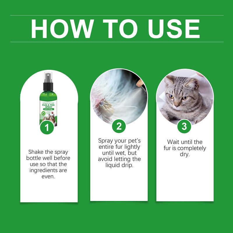 🍃 Natürliches Floh- und Zeckenspray für Hunde und Katzen 🐾 Halte dein geliebtes Haustier frei von Schädlingen 🐶🐱✨