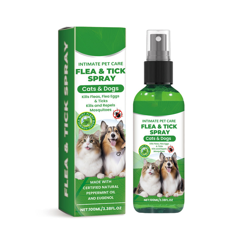 🍃 Natürliches Floh- und Zeckenspray für Hunde und Katzen 🐾 Halte dein geliebtes Haustier frei von Schädlingen 🐶🐱✨