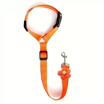 🐕🦺2-in-1-Sicherheitsgurt und Leine für Hunde