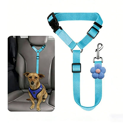 🐕🦺2-in-1-Sicherheitsgurt und Leine für Hunde