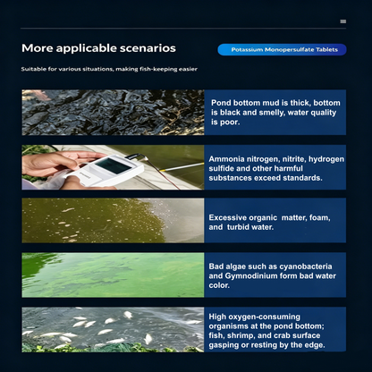 🐟️Leistungsstarke Wasseraufbereitungstabletten für Aquarien