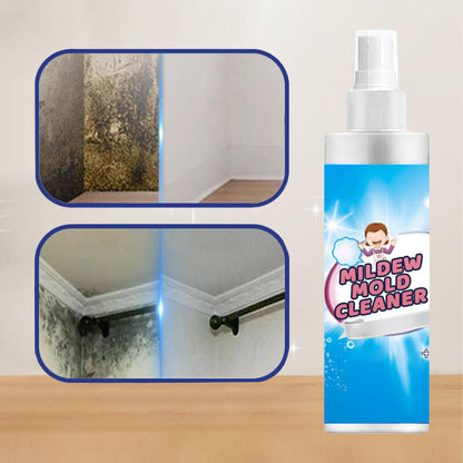 🦠 Schimmel- und Pilzreiniger-Spray – Aufsprühen, weggehen, Fleck weg! 🚿✨