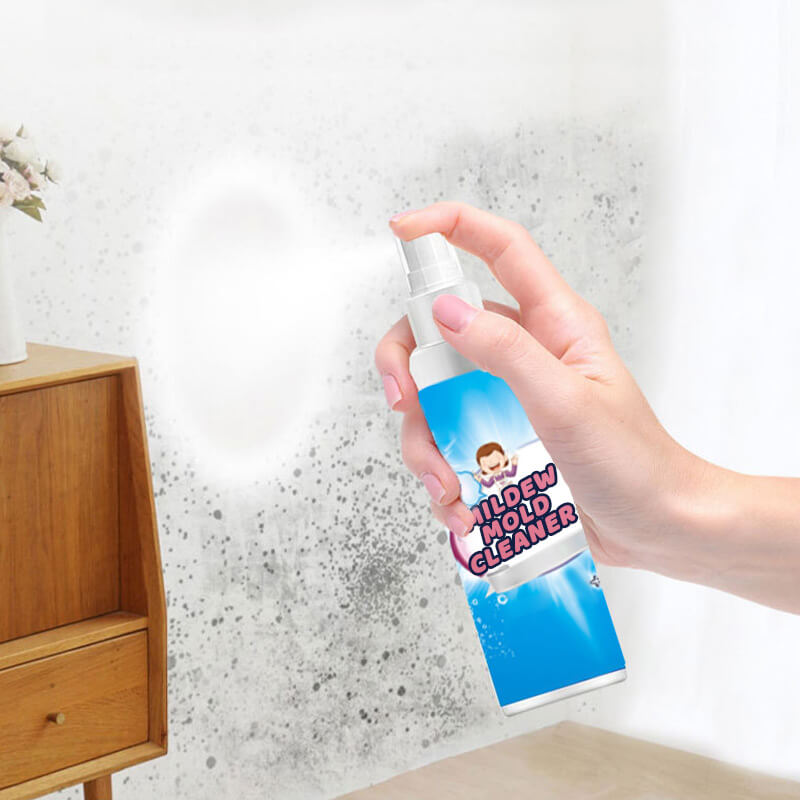 🦠 Schimmel- und Pilzreiniger-Spray – Aufsprühen, weggehen, Fleck weg! 🚿✨