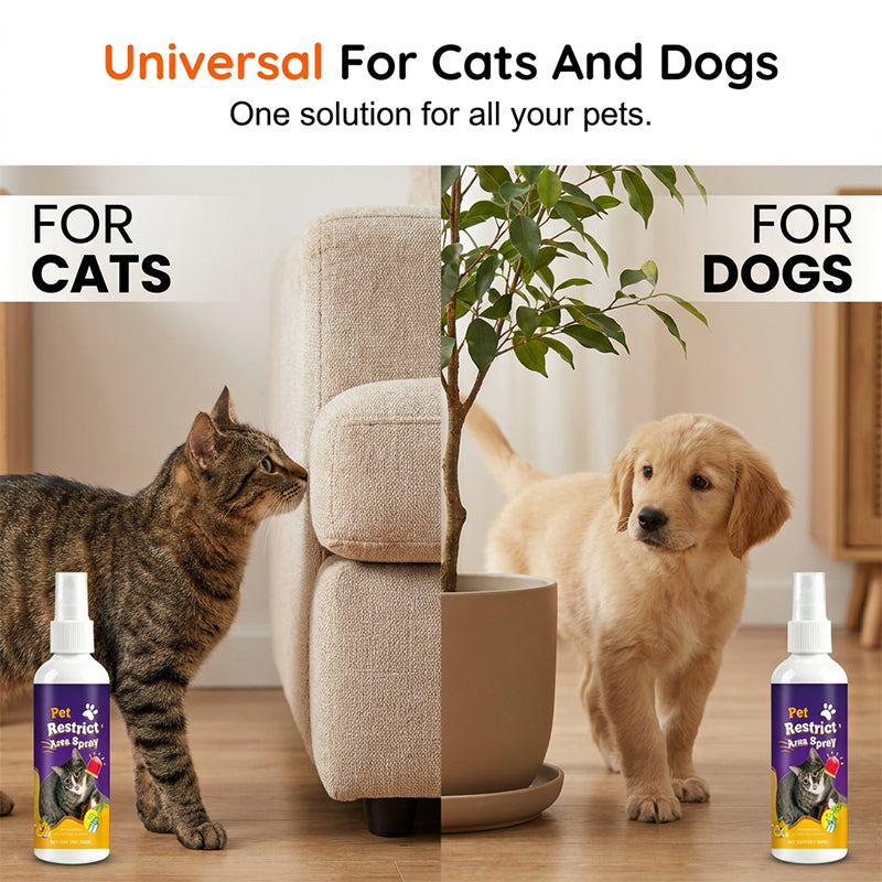 🐾🚫 Weg mit den Katzen, weg mit den Hunden – 100 % natürlich! Abwehrspray gegen Haustiere für Haus, Garten und Möbel – sicher für Menschen und Tiere!