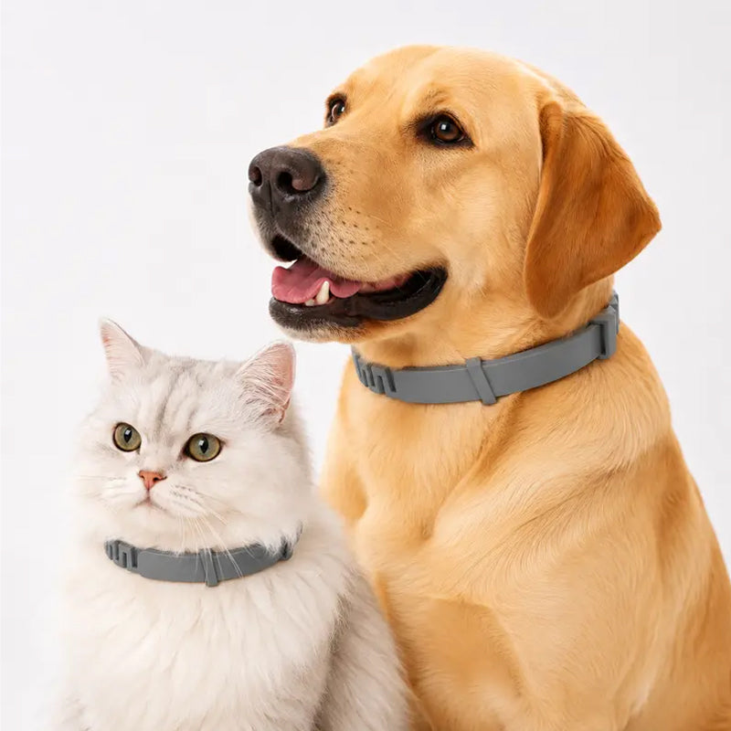 Verstellbare Floh- und Zeckenhalsbänder für Hunde und Katzen🌿🐾