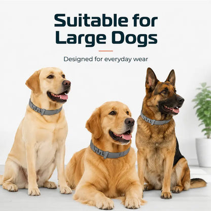 Verstellbare Floh- und Zeckenhalsbänder für Hunde und Katzen🌿🐾