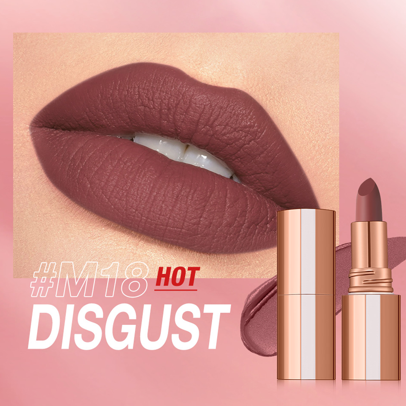 24 Stunden lang haltbarer matter Lippenstift☕💋