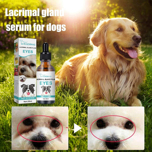 🐱🐶 50 % RABATT! Augenreiniger & -tropfen für Haustiere – Sanfte, pH-neutrale Formel, sicher für Hunde und Katzen. Lindert Rötungen, entfernt Tränenflecken und alltäglichen Schmutz. Ohne Peroxid! 🌿💧