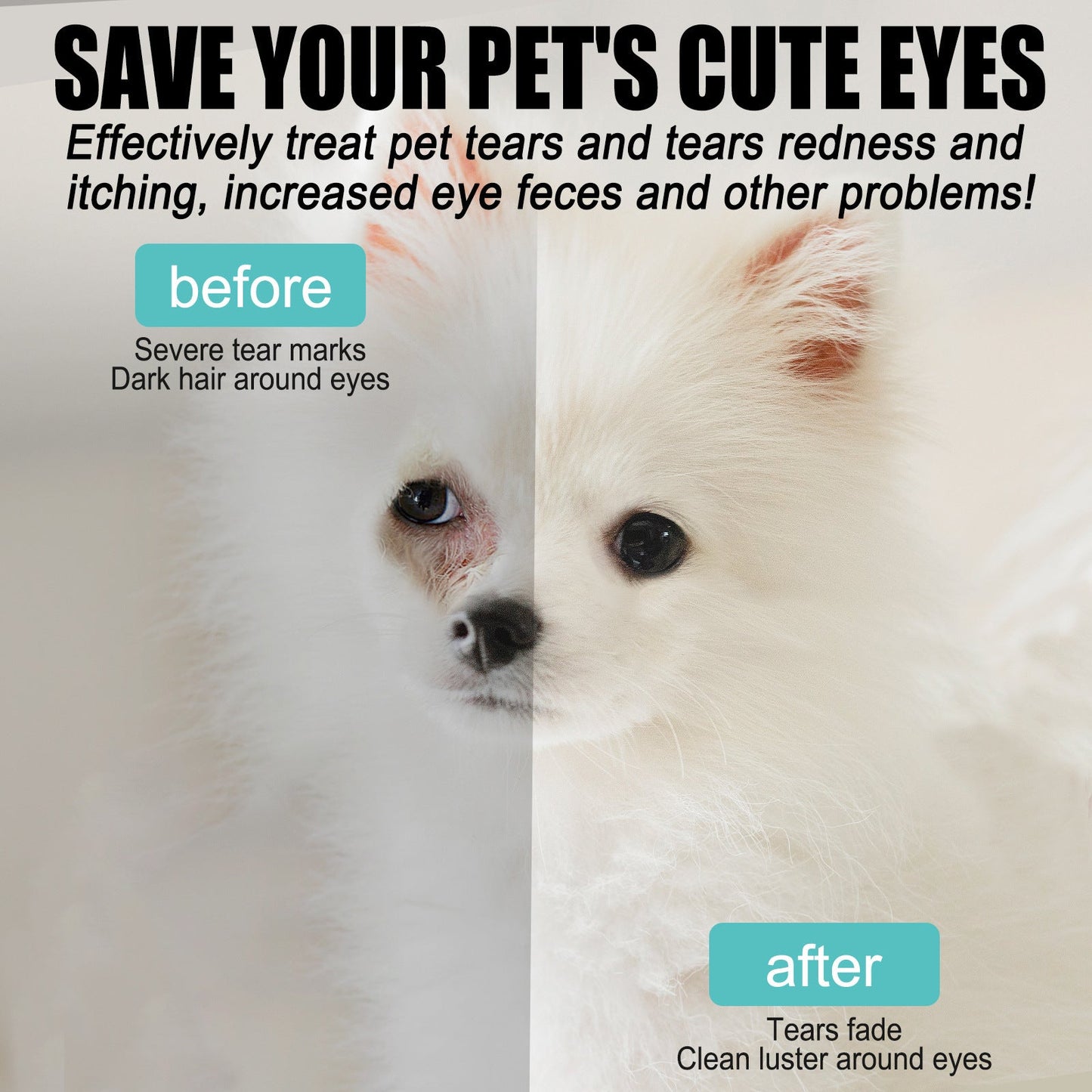🥳2026 HEISSER ABVERKAUF🥳💞ÜBER 50.000 VERKAUFT!🐱🐶 50 % RABATT! Augenreiniger & -tropfen für Haustiere – Sanfte, pH-neutrale Formel, sicher für Hunde und Katzen. Lindert Rötungen, entfernt Tränenflecken und alltäglichen Schmutz. Ohne Peroxid! 🌿💧