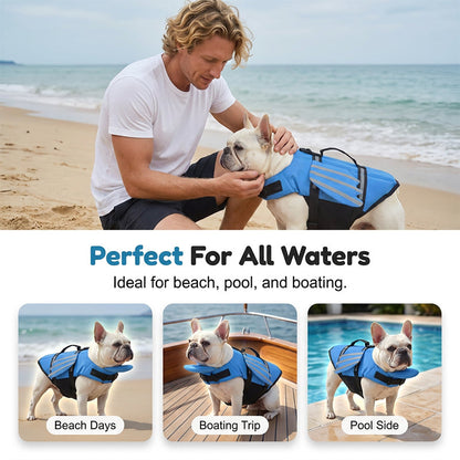 🐶🦺 Giubbotto di salvataggio riflettente a forma di ali d'angelo per cani ✨🌊