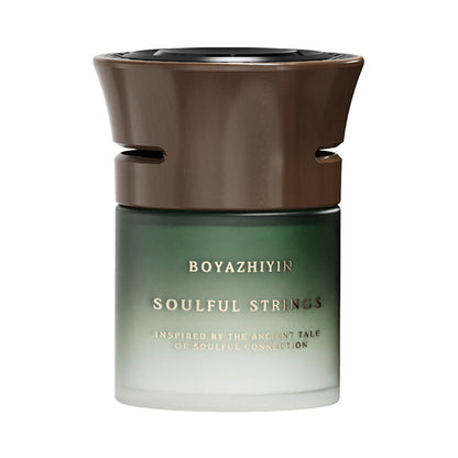 Premium Car Solid Aromatherapy Long-Lasting Air Freshener