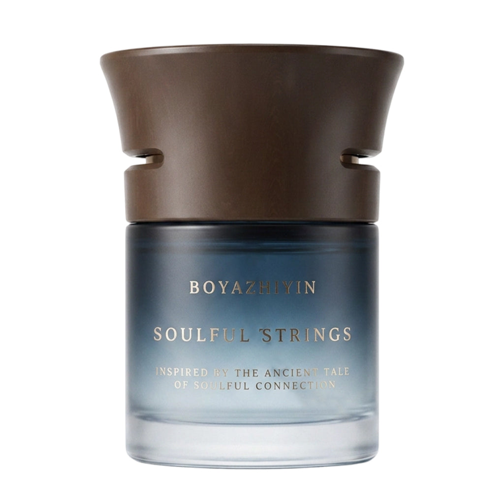Premium Car Solid Aromatherapy Long-Lasting Air Freshener