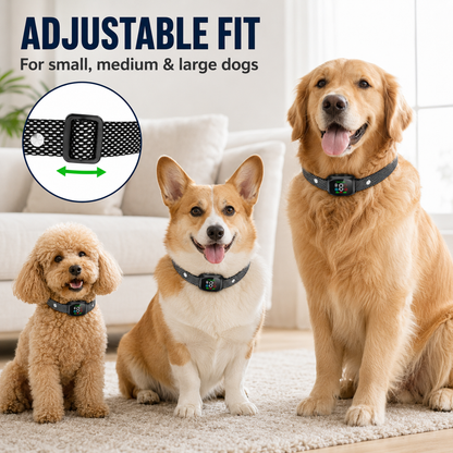 🥳2026 HEISSE VERKAUFSANGEBOTE🥳💞50.000 VERKAUFT! 🛡️🐾 50% RABATT! Anti-Bell-Halsband – Intelligente Anti-Fehlauslösung filtert andere Beller heraus. IP67 wasserdicht & USB aufladbar – sorgenfreies Training überall! 💦✅