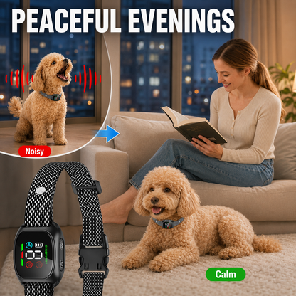 🥳2026 HEISSE VERKAUFSANGEBOTE🥳💞50.000 VERKAUFT! 🛡️🐾 50% RABATT! Anti-Bell-Halsband – Intelligente Anti-Fehlauslösung filtert andere Beller heraus. IP67 wasserdicht & USB aufladbar – sorgenfreies Training überall! 💦✅